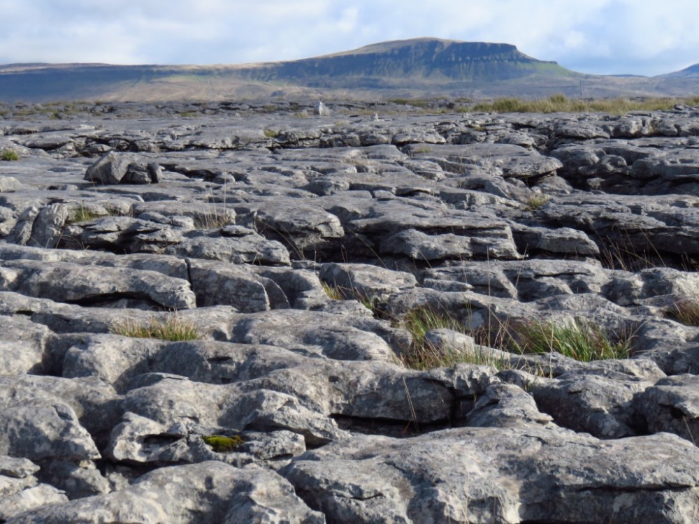 Limestone Pavement