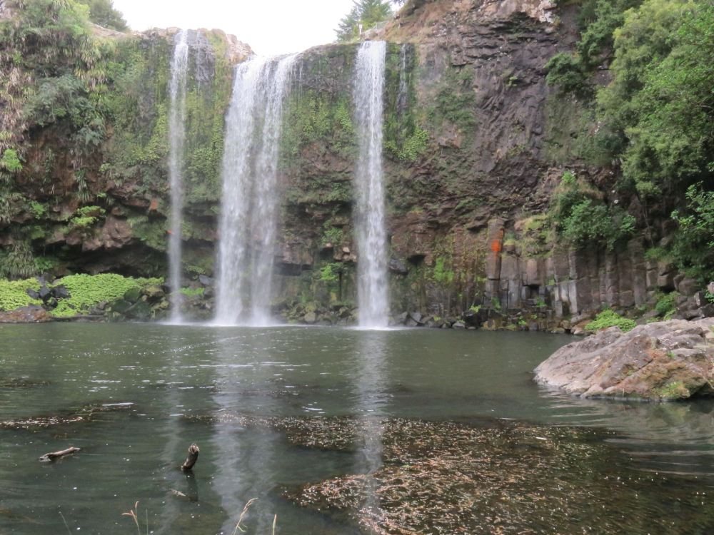 Whangarei Waterfall