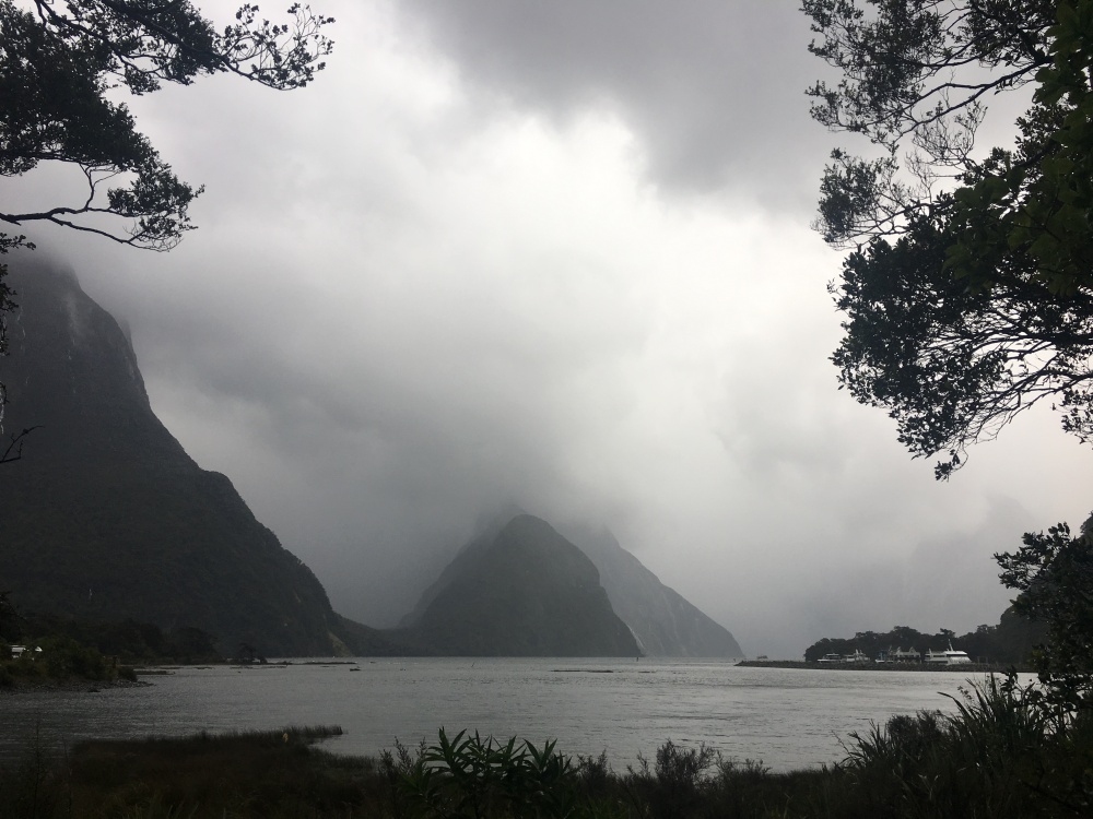 LYN VIEW OF MILFORD SOUND