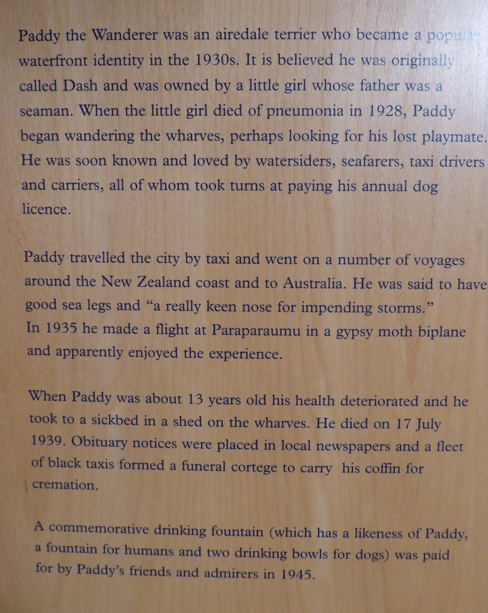 Paddy Story