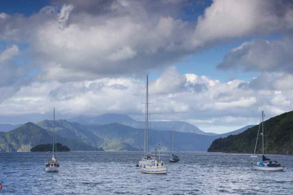 Queen Charlotte Sound 3