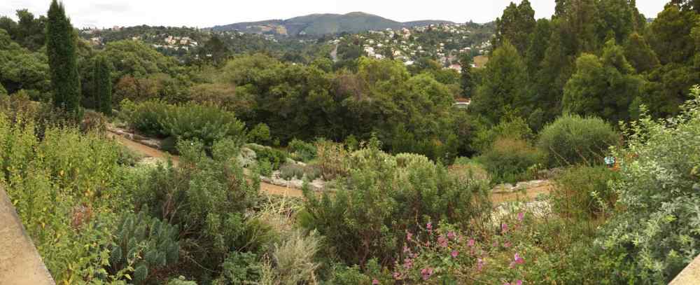BOTANICAL GARDEN PANO 2