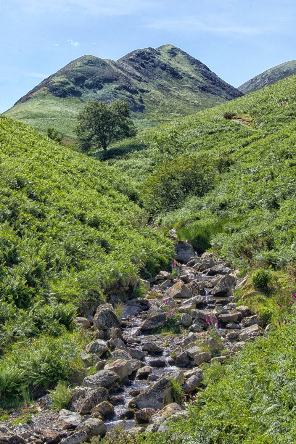 Ard Crags From Rigg Beck