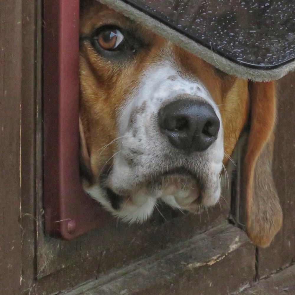 What are you Looking At?