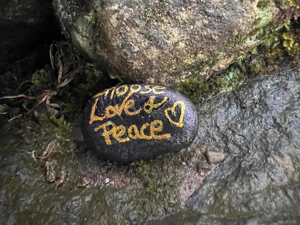 This image has an empty alt attribute; its file name is 24-dec-24.jpeg